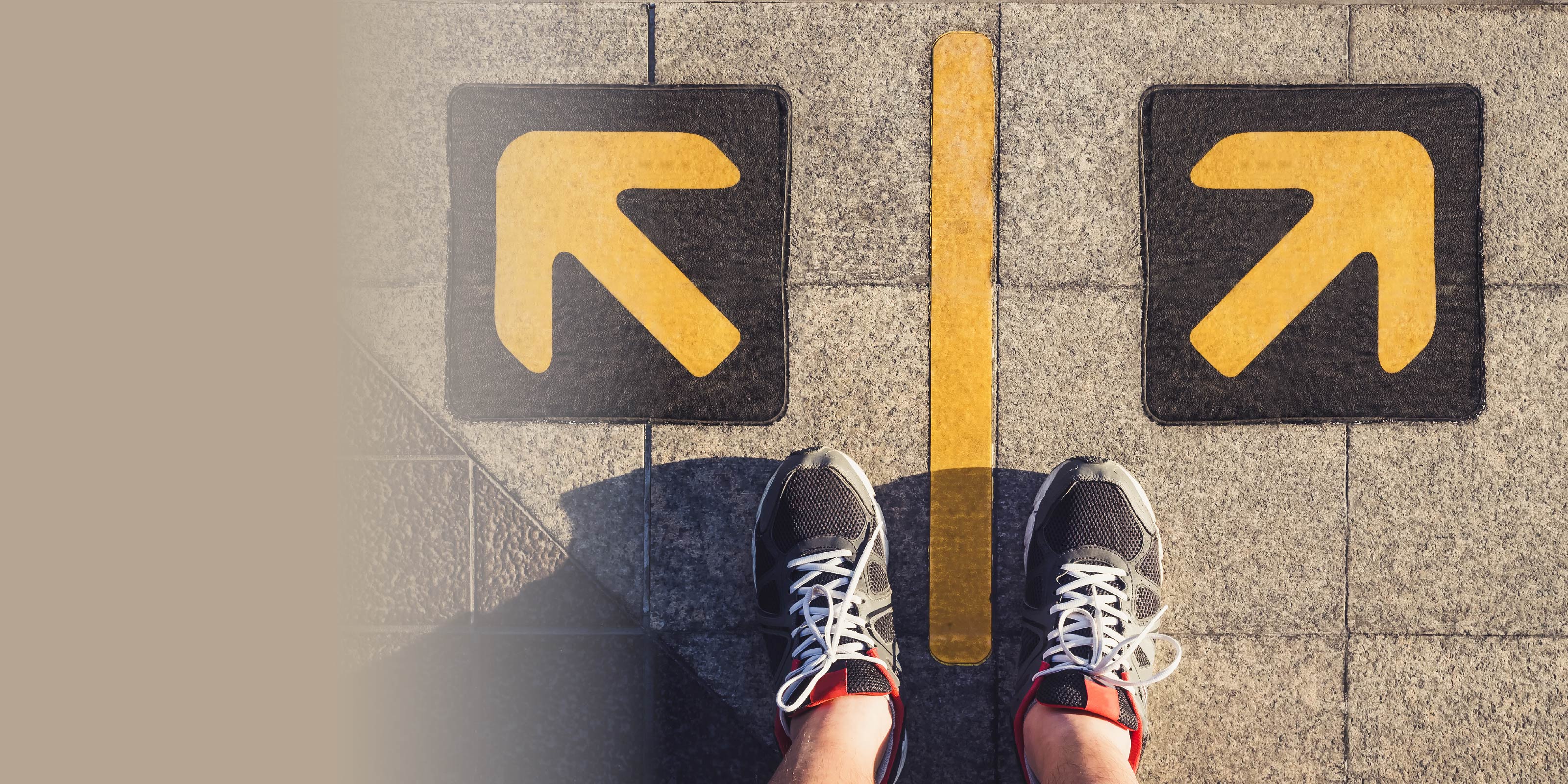 Discrete Choice Analysis header image