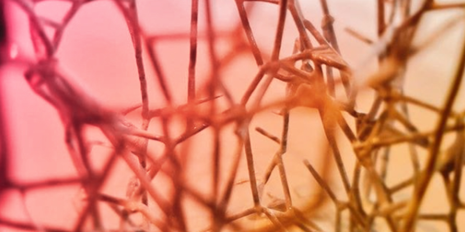 Predictive Multiscale Materials Design Header Image