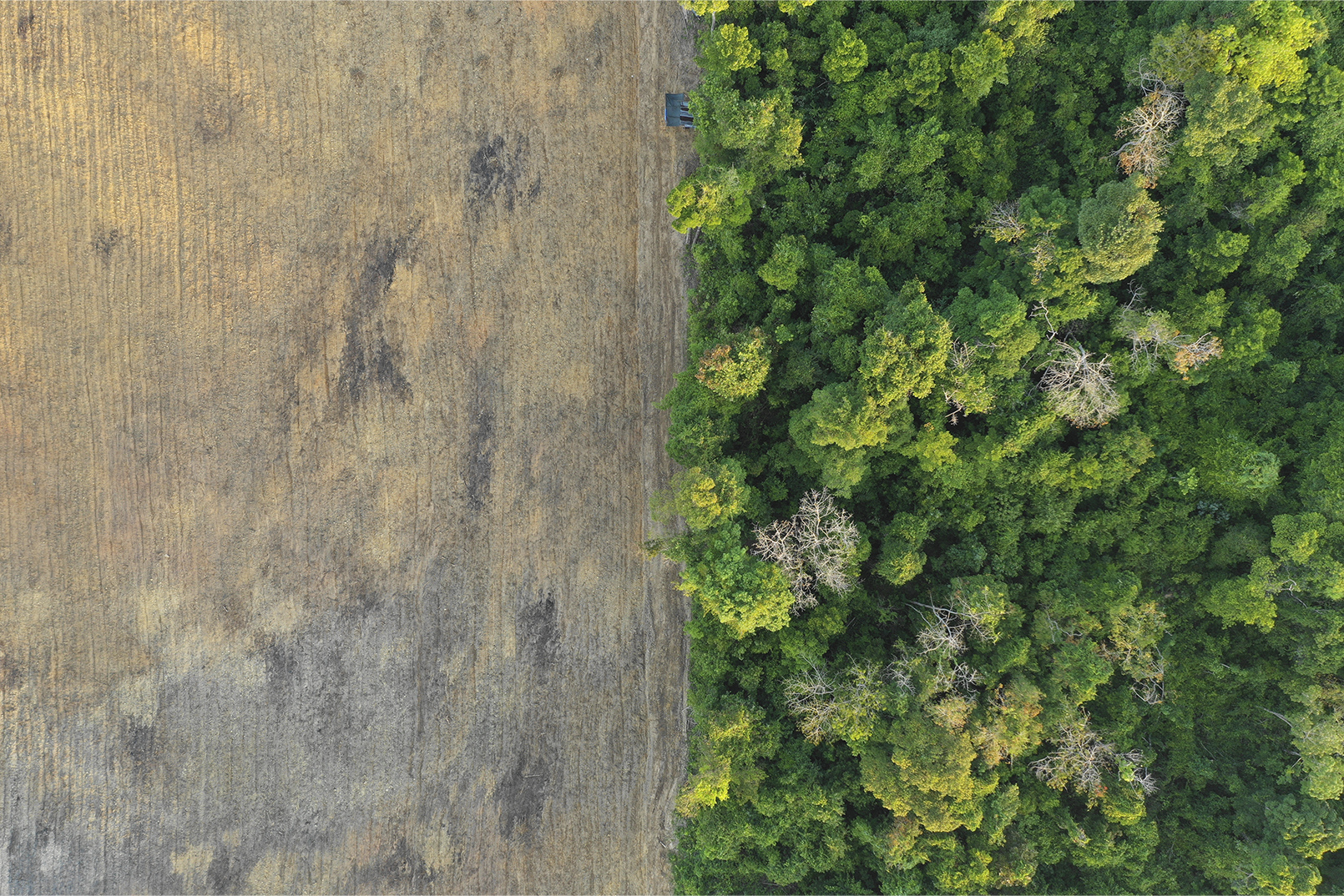 DPP - Sustainability: Strategies and Opportunities for Industry - Header Image