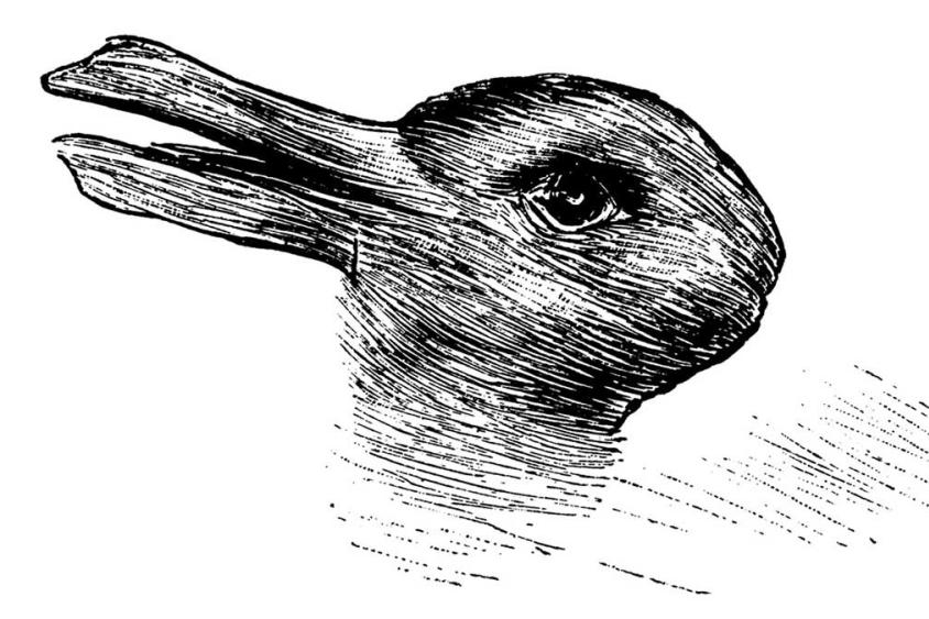 HBR Rabbit or Duck Image