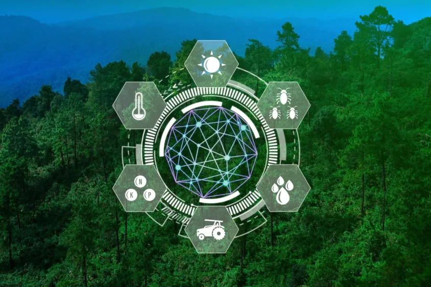 Sustainability Starts with a Systems View